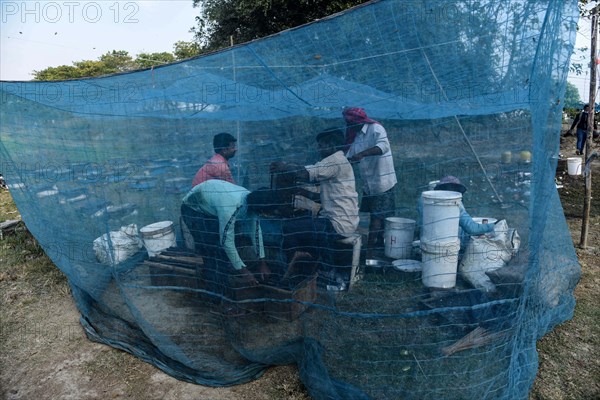 Bee keepers working in a bee farm near a mustards field in a village in Barpeta district of Assam in India on Wednesday 22 December 2021. The bee keeping business is one of the most profitable businesses in India. India has more than 3.5 million bee colonies. Indian apiculture market size is expected to reach a value of more than Rs. 30000 million by 2024