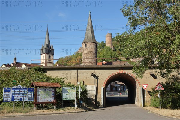 Historical Owl Tower