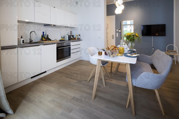 Kitchen in a luxury flat in Berlin