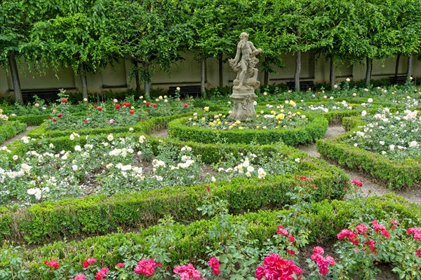 Rose Garden