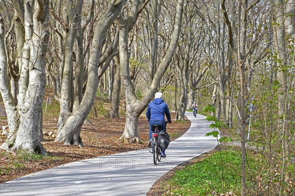 Dutch cyclists cycling on their bicycles on concrete cycle path