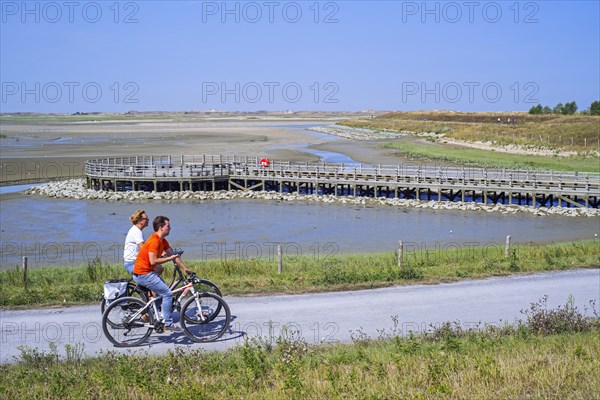 Cyclists cycling on International Dike past lookout platform looking over saltmarsh and coastal birds at Zwin nature reserve