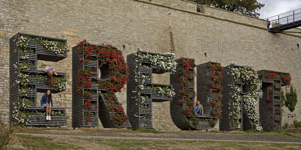 Step train Erfurt planted with flowers in front of the Petersberg Citadel