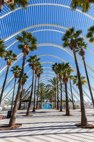 Ciutat de les Arts i les Ciencies with L'Umbracle building modern architecture by Santiago Calatrava in Valencia