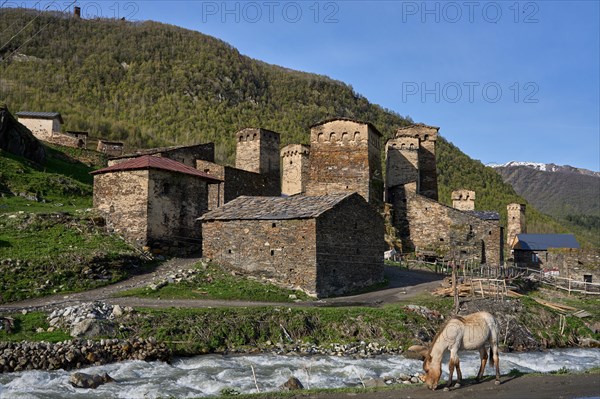 Horse in front of the Inguri river