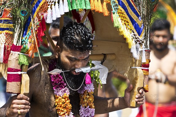 Karvati dancers who have their bodies pierced and thus give thanks for answered prayers