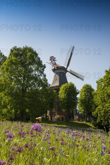 Windmill with colourful flowerbeds