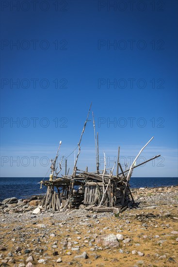 Driftwood beach hut