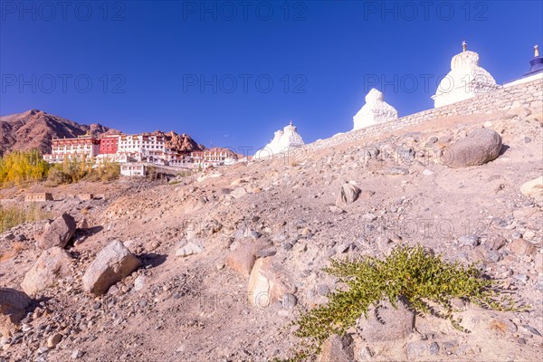 Stupas near Matho Monastery