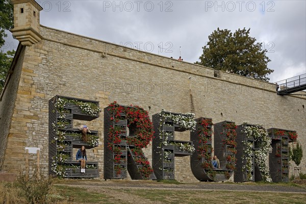 Step train Erfurt planted with flowers in front of the Petersberg Citadel