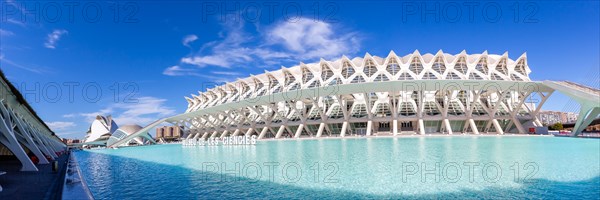 Ciutat de les Arts i les Ciencies with Science Museum modern architecture by Santiago Calatrava panorama in Valencia