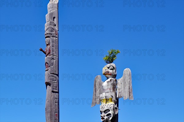 Toteems in an old cemetery in Alert Bay