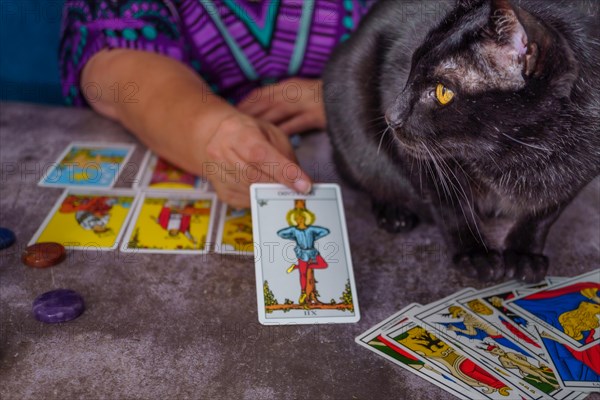 Fortune teller reading tarot cards with a black cat on the table on the table white candles