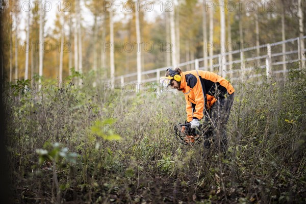 A forest worker drills holes in the forest floor for reforestation near Oschersleben