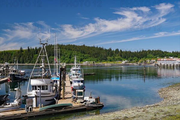 Small fishing boats and recreational boats