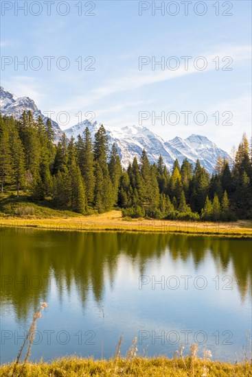 Alpine Lake with Snowcapped Mountain and Trees in San Bernardino in Switzerland
