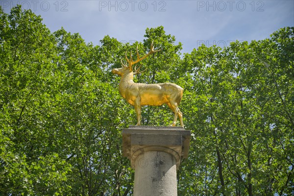 Fountain Zum Goldenen Hirschen