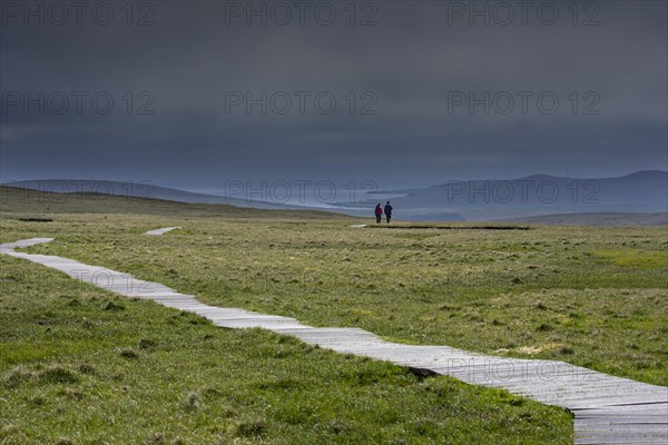Birdwatchers walking over boardwalk in moorland