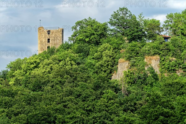 Neideck Castle Ruin