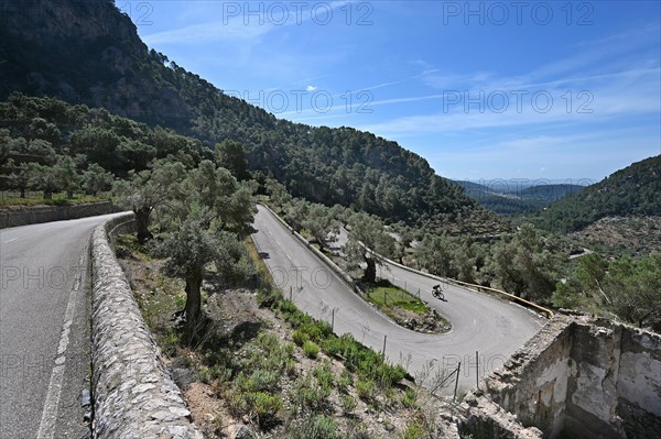 Road cyclist on the Coll de Soller in the Tramuntana Mountains
