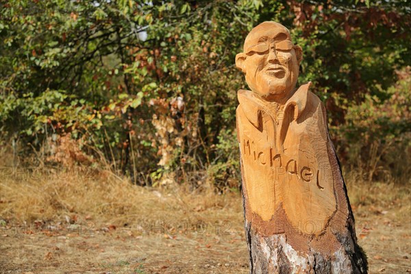 Wood carving on a tree trunk in the forest with inscription Michael