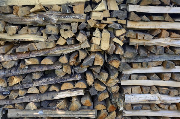 Stacked firewood