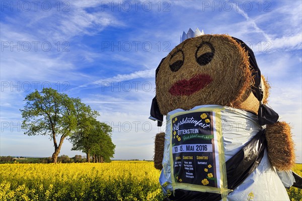 Straw puppet in a rape field