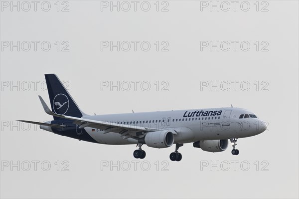 Passenger aircraft Airbus A320-200 Greifswald of the airline Lufthansa on approach to Hamburg Airport