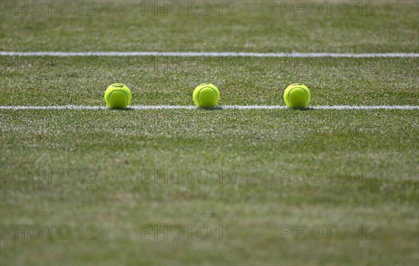 Three tennis balls lie on grass