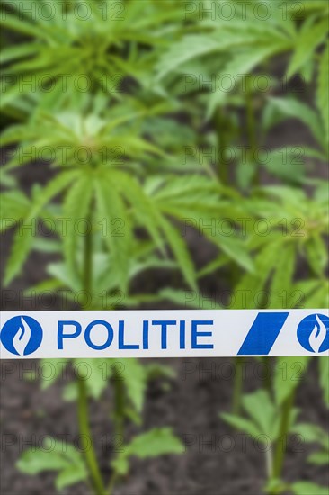 Belgian politie