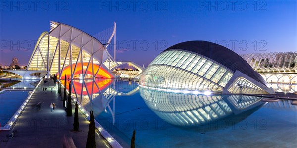 Ciutat de les Arts i les Ciencies modern architecture by Santiago Calatrava panorama at night in Valencia