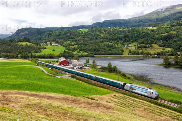 Bergen Railway train at Seimsgrend