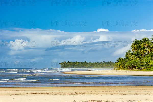 Sargi beach surrounded by coconut trees and native vegetation in Serra Grande on the south coast of Bahia