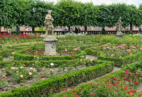 Rose Garden