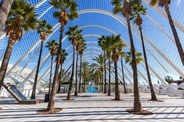 Ciutat de les Arts i les Ciencies with L'Umbracle building modern architecture by Santiago Calatrava in Valencia