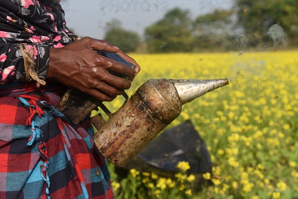 Bee keepers working in a bee farm near a mustards field in a village in Barpeta district of Assam in India on Wednesday 22 December 2021. The bee keeping business is one of the most profitable businesses in India. India has more than 3.5 million bee colonies. Indian apiculture market size is expected to reach a value of more than Rs. 30000 million by 2024