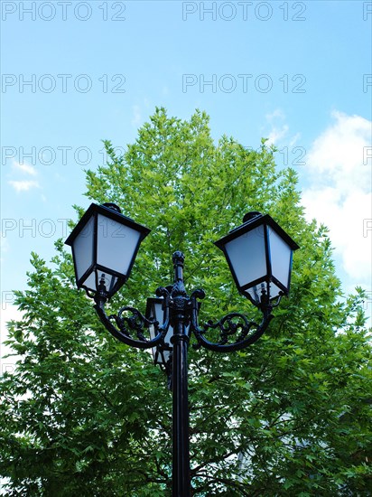 Old street lamp in front of green tree and blue sky