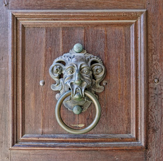 Door knocker