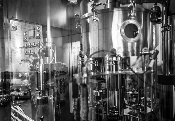 Automated Wine Bottling on Conveyor Belt in Factory in Switzerland