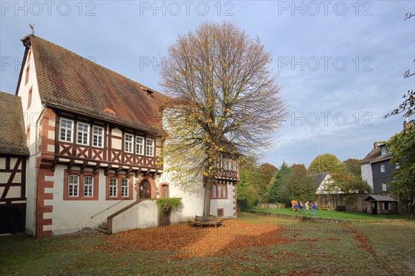 Brothers Grimm House with Garden