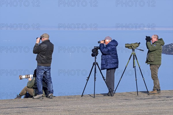 Birdwatchers