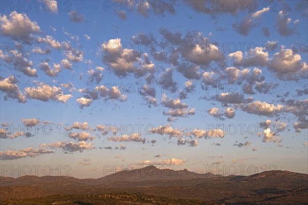 Altocumulus floccus clouds over semi-desert landscape at sunset in the Namaqua National Park