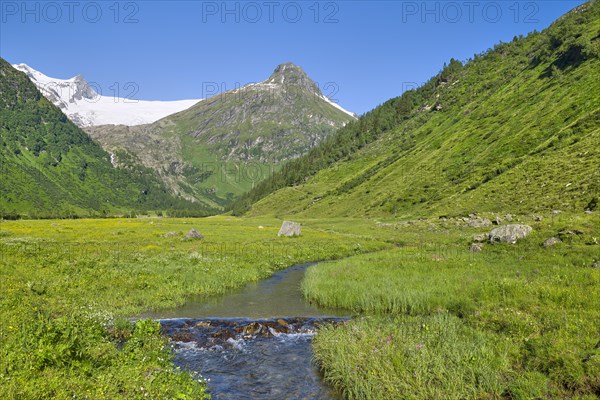 Stream with view of the front Kesselkopf