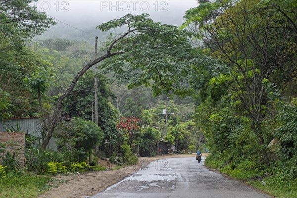 Touring cyclist with heavily laden bicycle cycling through subtropical forest in the Andes foothills