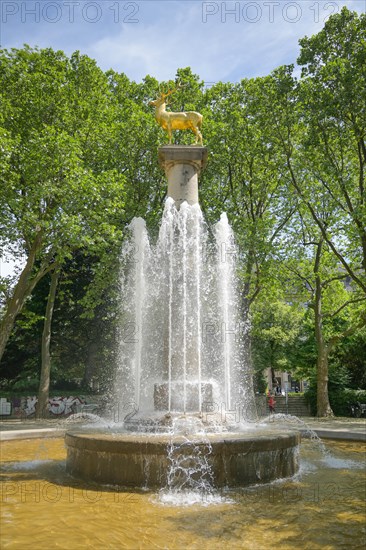 Fountain Zum Goldenen Hirschen