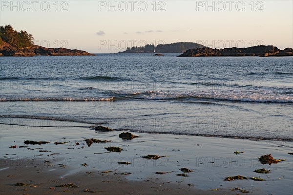 Deserted sandy beach at sunset