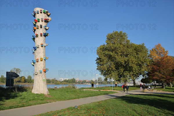 Tree trunk with many colourful birdhouses in the garden of the two banks