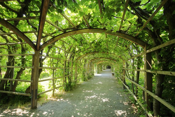 Arbour walk in the castle garden