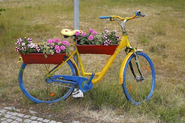 Colourful bicycle decorated with flowers and flower boxes