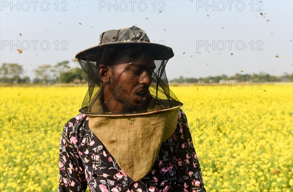 Bee keepers working in a bee farm near a mustards field in a village in Barpeta district of Assam in India on Wednesday 22 December 2021. The bee keeping business is one of the most profitable businesses in India. India has more than 3.5 million bee colonies. Indian apiculture market size is expected to reach a value of more than Rs. 30000 million by 2024